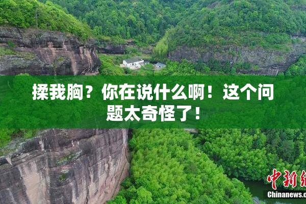 揉我胸？你在说什么啊！这个问题太奇怪了！