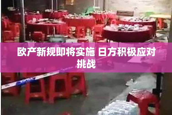 欧产新规即将实施 日方积极应对挑战