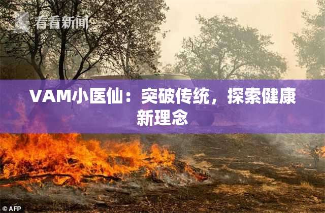 VAM小医仙：突破传统，探索健康新理念