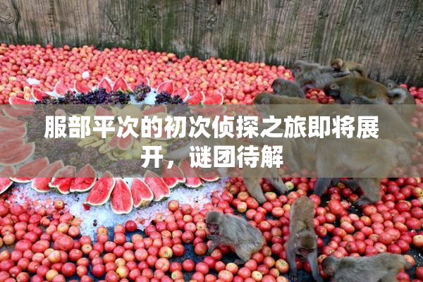 服部平次的初次侦探之旅即将展开，谜团待解