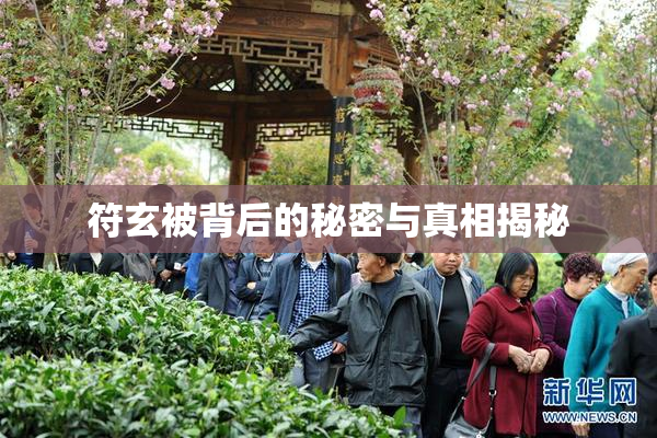 符玄被背后的秘密与真相揭秘