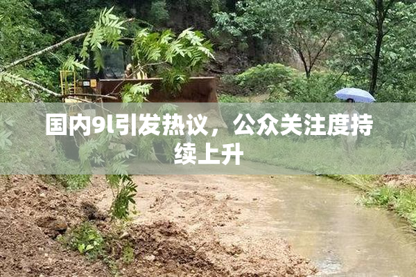 国内9l引发热议，公众关注度持续上升