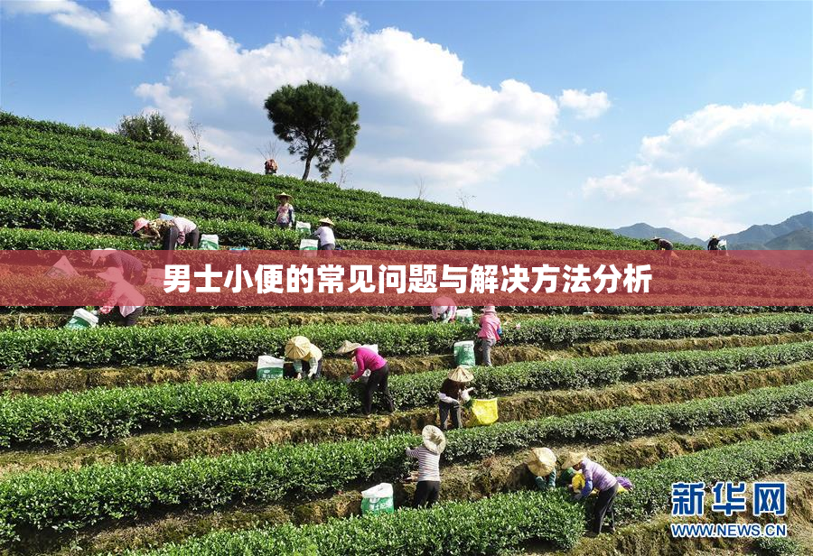 男士小便的常见问题与解决方法分析