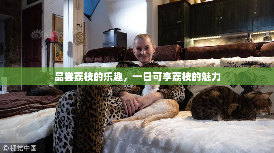 品尝荔枝的乐趣，一日可享荔枝的魅力