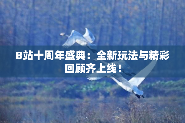 B站十周年盛典：全新玩法与精彩回顾齐上线！