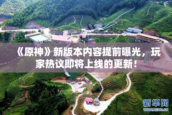 《原神》新版本内容提前曝光，玩家热议即将上线的更新！
