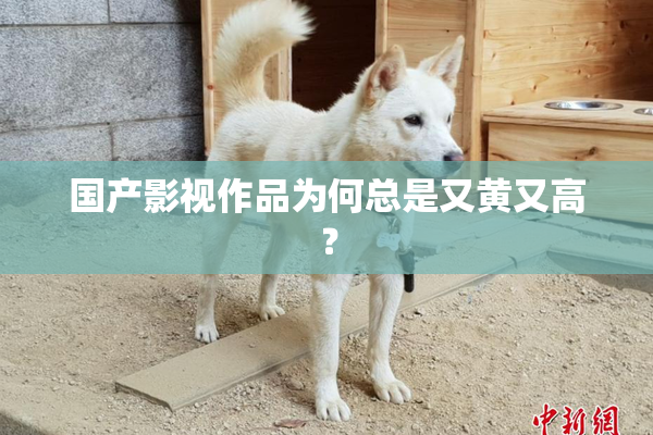 国产影视作品为何总是又黄又高？