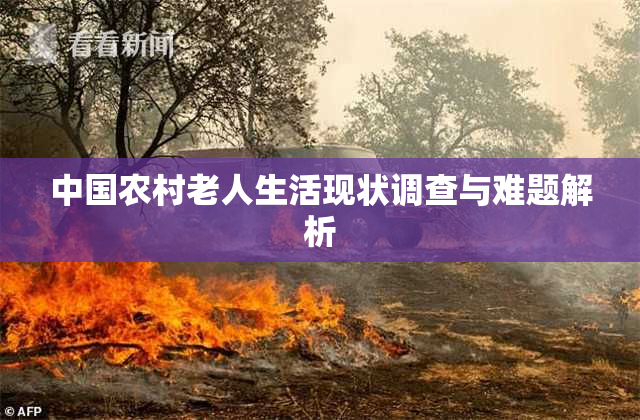 中国农村老人生活现状调查与难题解析