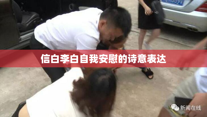 信白李白自我安慰的诗意表达