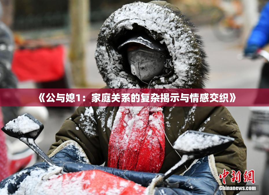《公与媳1：家庭关系的复杂揭示与情感交织》