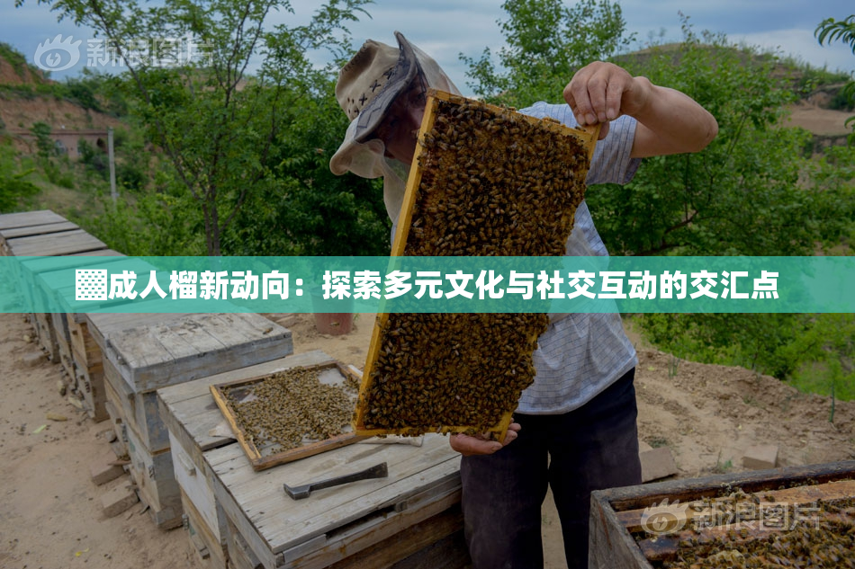 ▓成人榴新动向：探索多元文化与社交互动的交汇点