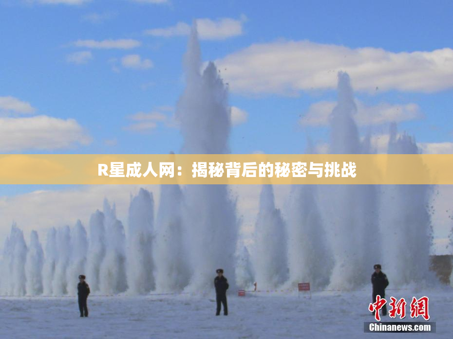 R星成人网：揭秘背后的秘密与挑战
