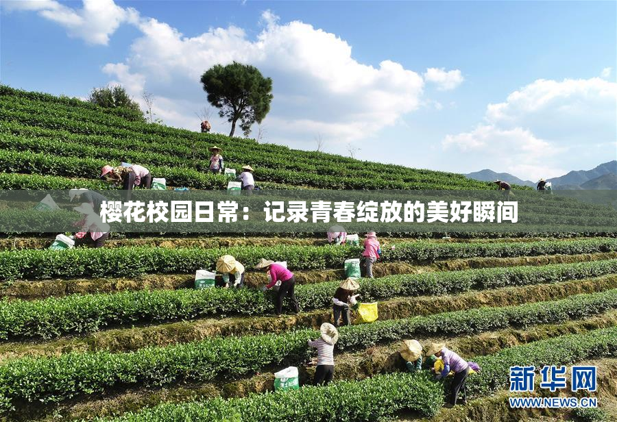 樱花校园日常：记录青春绽放的美好瞬间