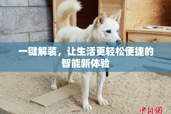 一键解装，让生活更轻松便捷的智能新体验