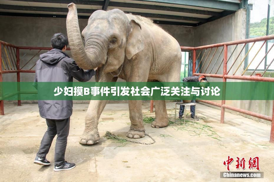 少妇摸B事件引发社会广泛关注与讨论