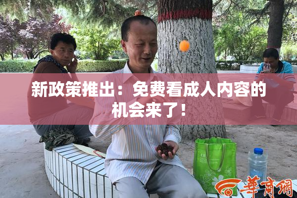 新政策推出：免费看成人内容的机会来了！