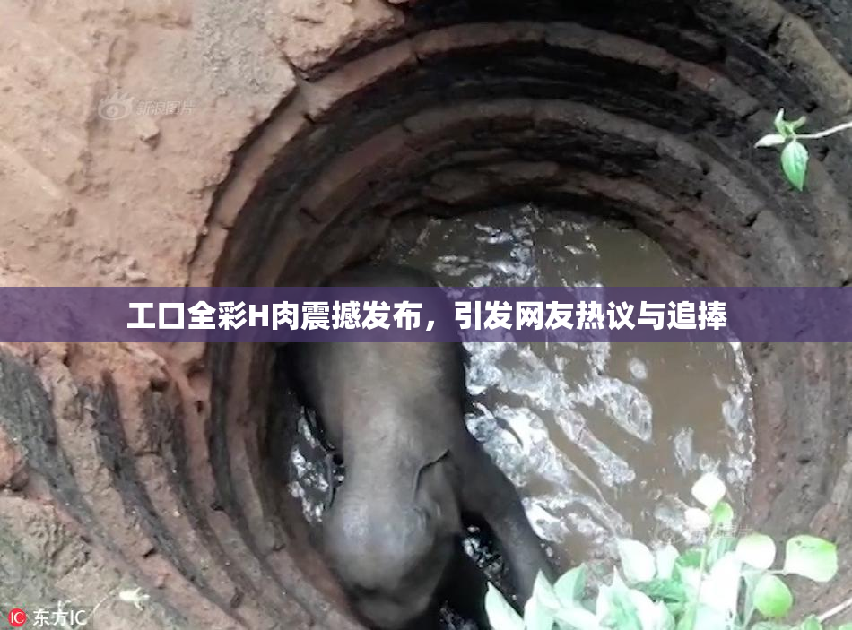 工口全彩H肉震撼发布，引发网友热议与追捧