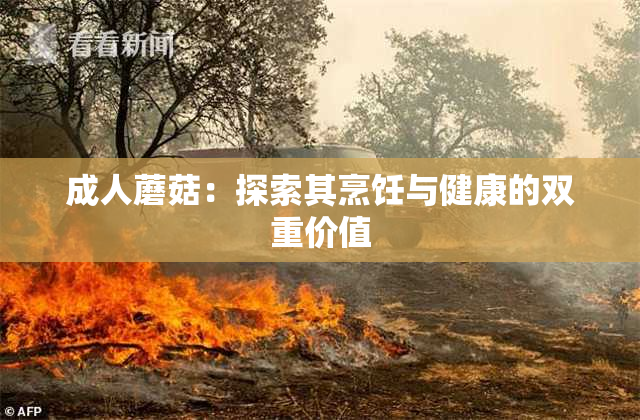 成人蘑菇：探索其烹饪与健康的双重价值