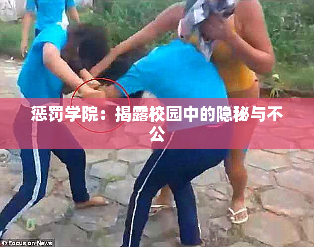 惩罚学院：揭露校园中的隐秘与不公
