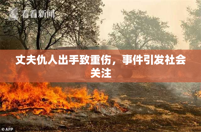 丈夫仇人出手致重伤，事件引发社会关注