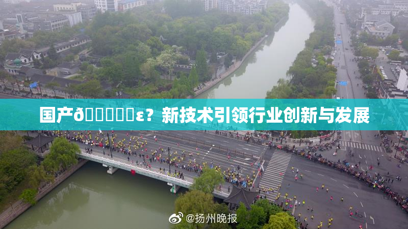 国产🔞❌‌ε？新技术引领行业创新与发展