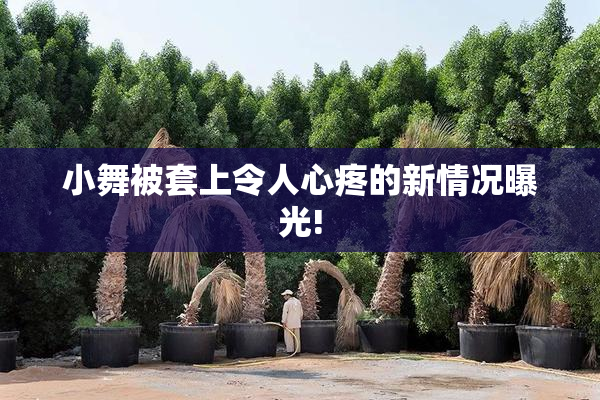 小舞被套上令人心疼的新情况曝光!