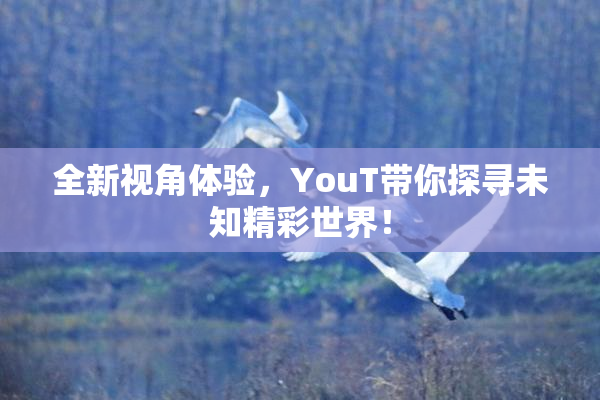 全新视角体验，YouT带你探寻未知精彩世界！