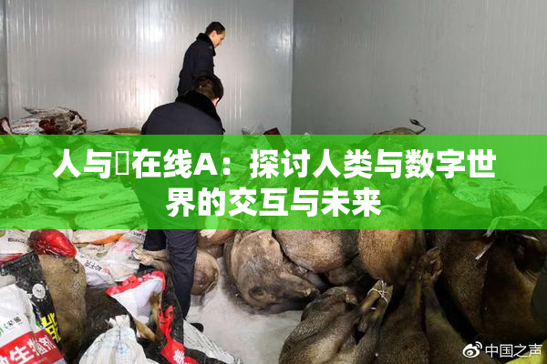 人与嘼在线A：探讨人类与数字世界的交互与未来
