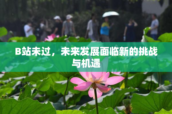 B站未过，未来发展面临新的挑战与机遇