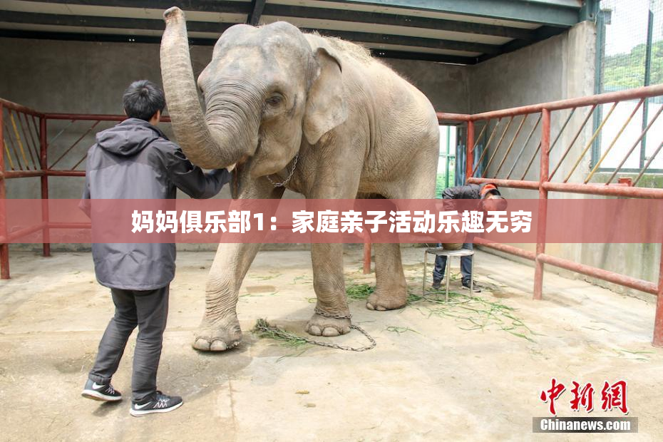 妈妈俱乐部1：家庭亲子活动乐趣无穷