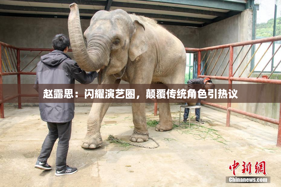 赵露思：闪耀演艺圈，颠覆传统角色引热议