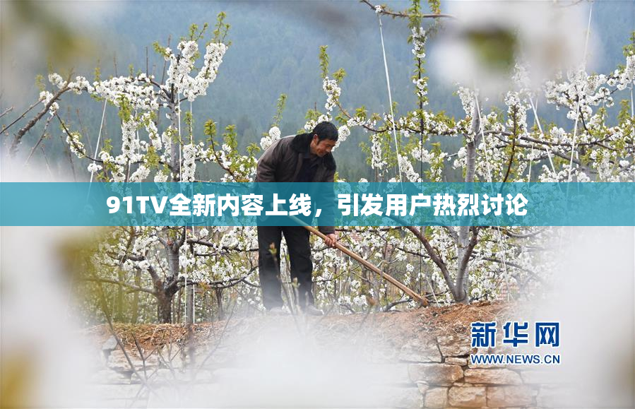 91TV全新内容上线，引发用户热烈讨论