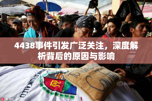 4438事件引发广泛关注，深度解析背后的原因与影响