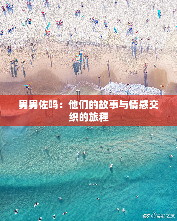 男男佐鸣：他们的故事与情感交织的旅程