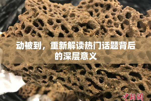 动被到，重新解读热门话题背后的深层意义