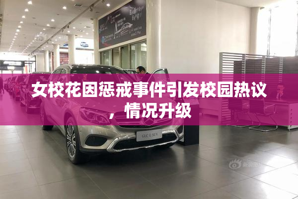 女校花因惩戒事件引发校园热议，情况升级