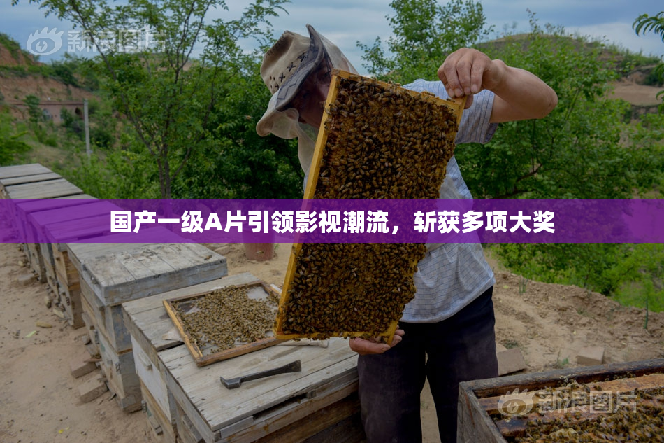 国产一级A片引领影视潮流，斩获多项大奖