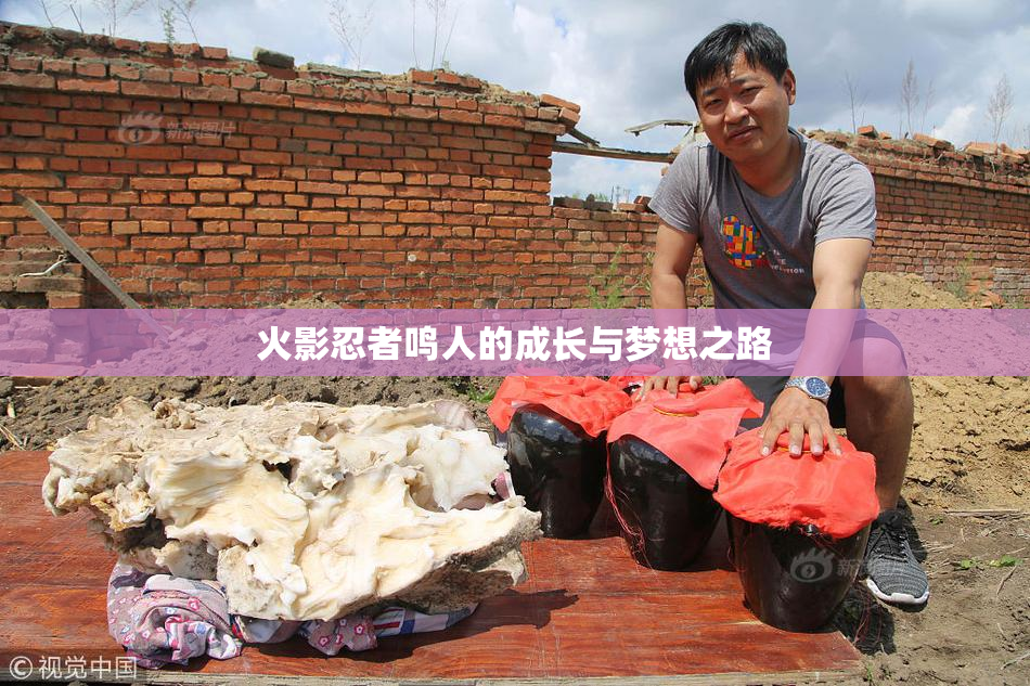 火影忍者鸣人的成长与梦想之路
