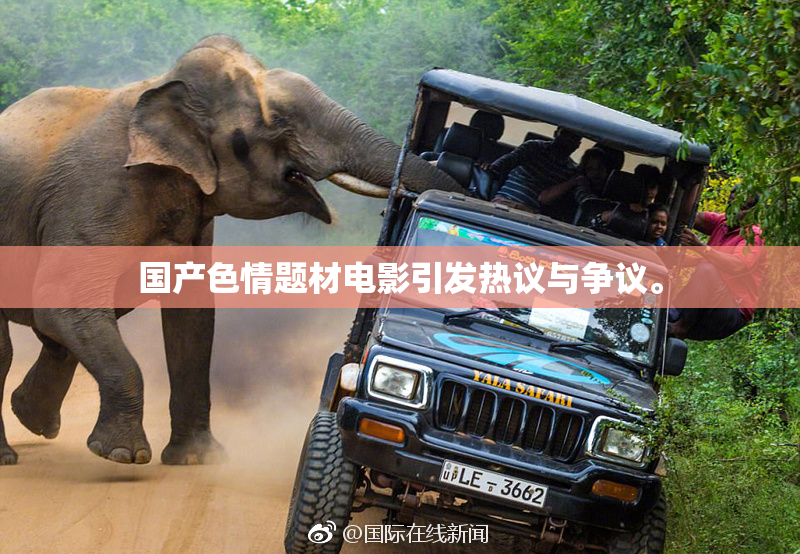 国产色情题材电影引发热议与争议。