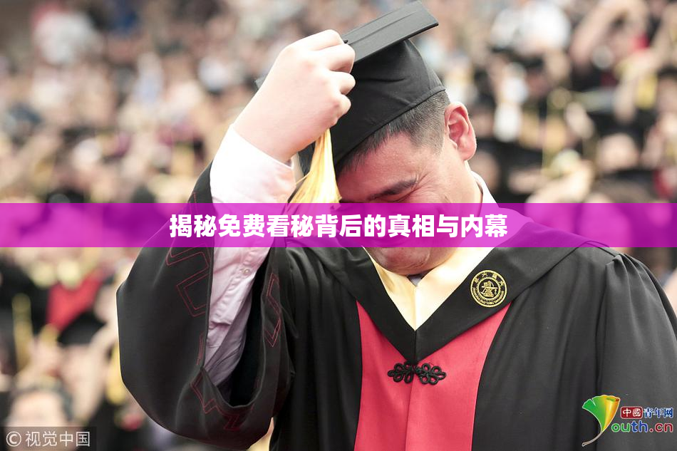 揭秘免费看秘背后的真相与内幕