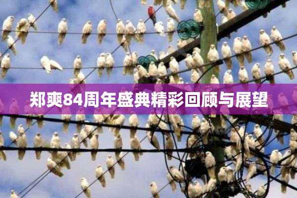 郑爽84周年盛典精彩回顾与展望