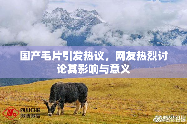 国产毛片引发热议，网友热烈讨论其影响与意义