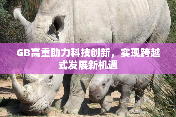 GB高重助力科技创新，实现跨越式发展新机遇