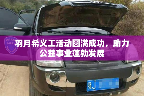 羽月希义工活动圆满成功，助力公益事业蓬勃发展