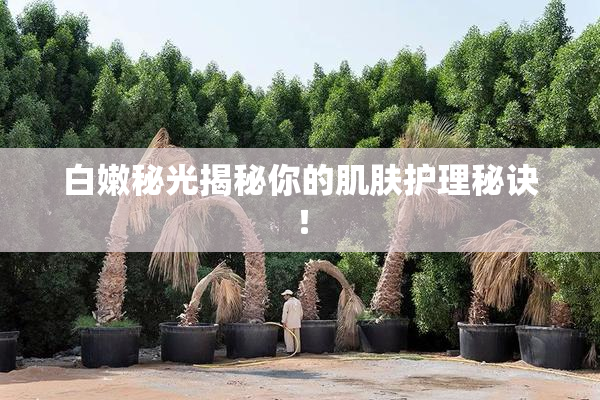 白嫩秘光揭秘你的肌肤护理秘诀！