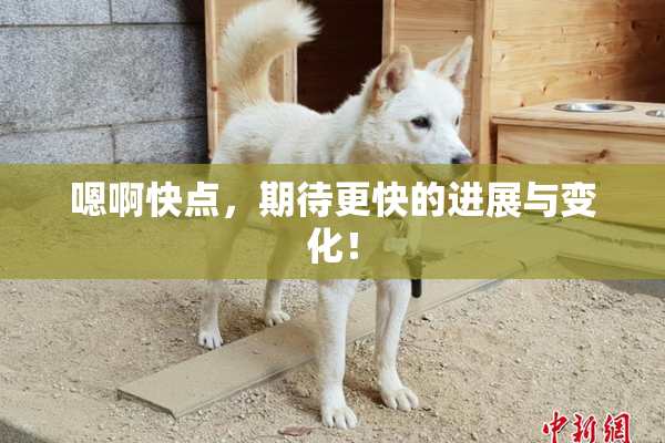 嗯啊快点，期待更快的进展与变化！