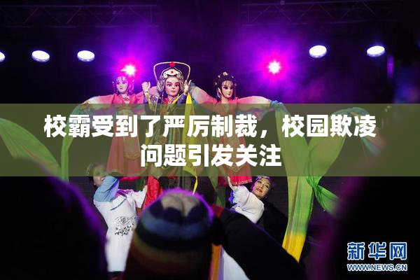 校霸受到了严厉制裁，校园欺凌问题引发关注