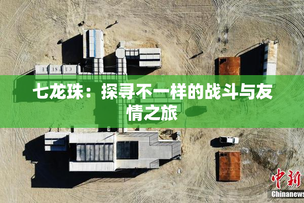 七龙珠：探寻不一样的战斗与友情之旅