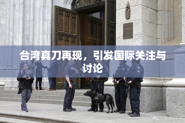 台湾真刀再现，引发国际关注与讨论