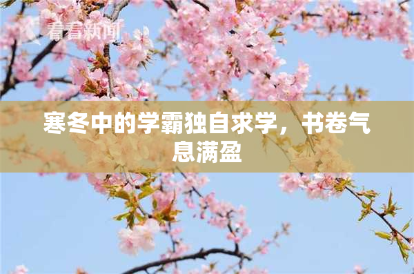 寒冬中的学霸独自求学，书卷气息满盈